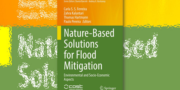 Book Cover: Nature Based Solutions for Flood Mitigation