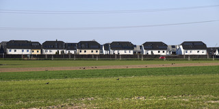 Six uniform-looking single-family homes standing in a row behind a green field.